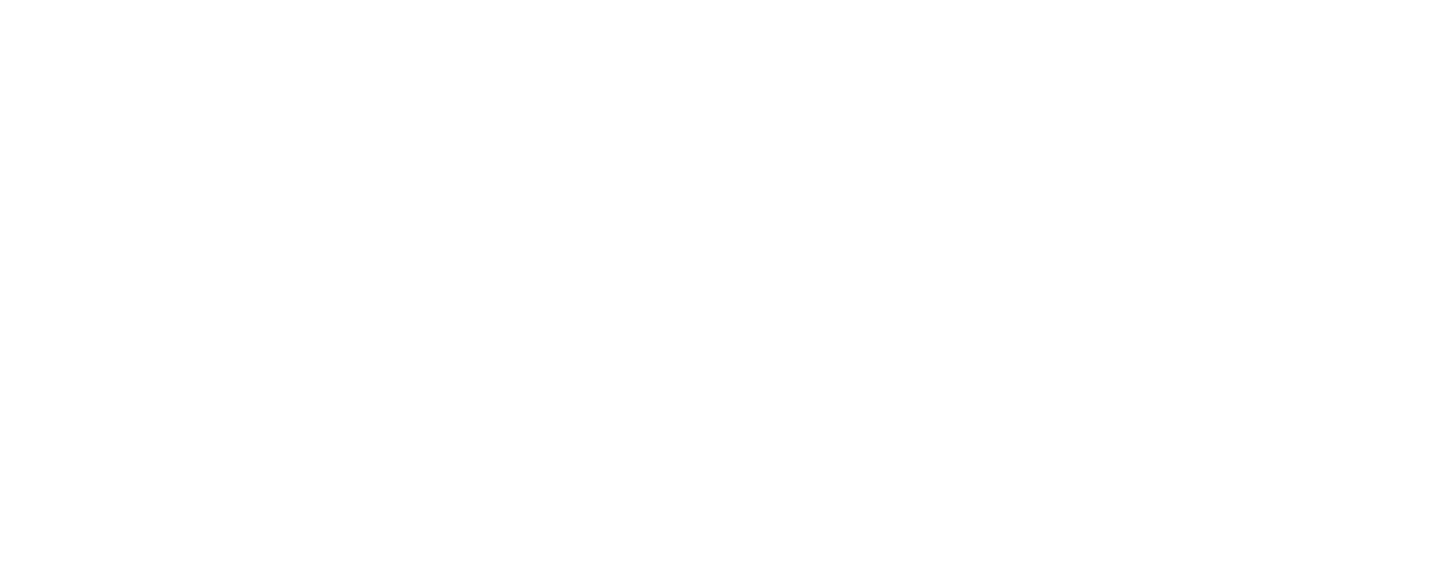 Logo Sécuritop blanc logo-securitop