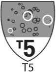 t5