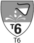 t6